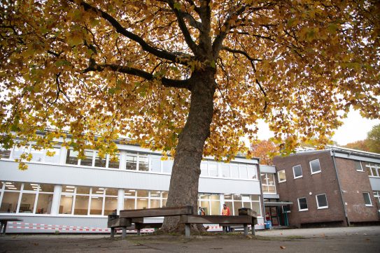 (c) Gymnasium an der Willmsstrasse