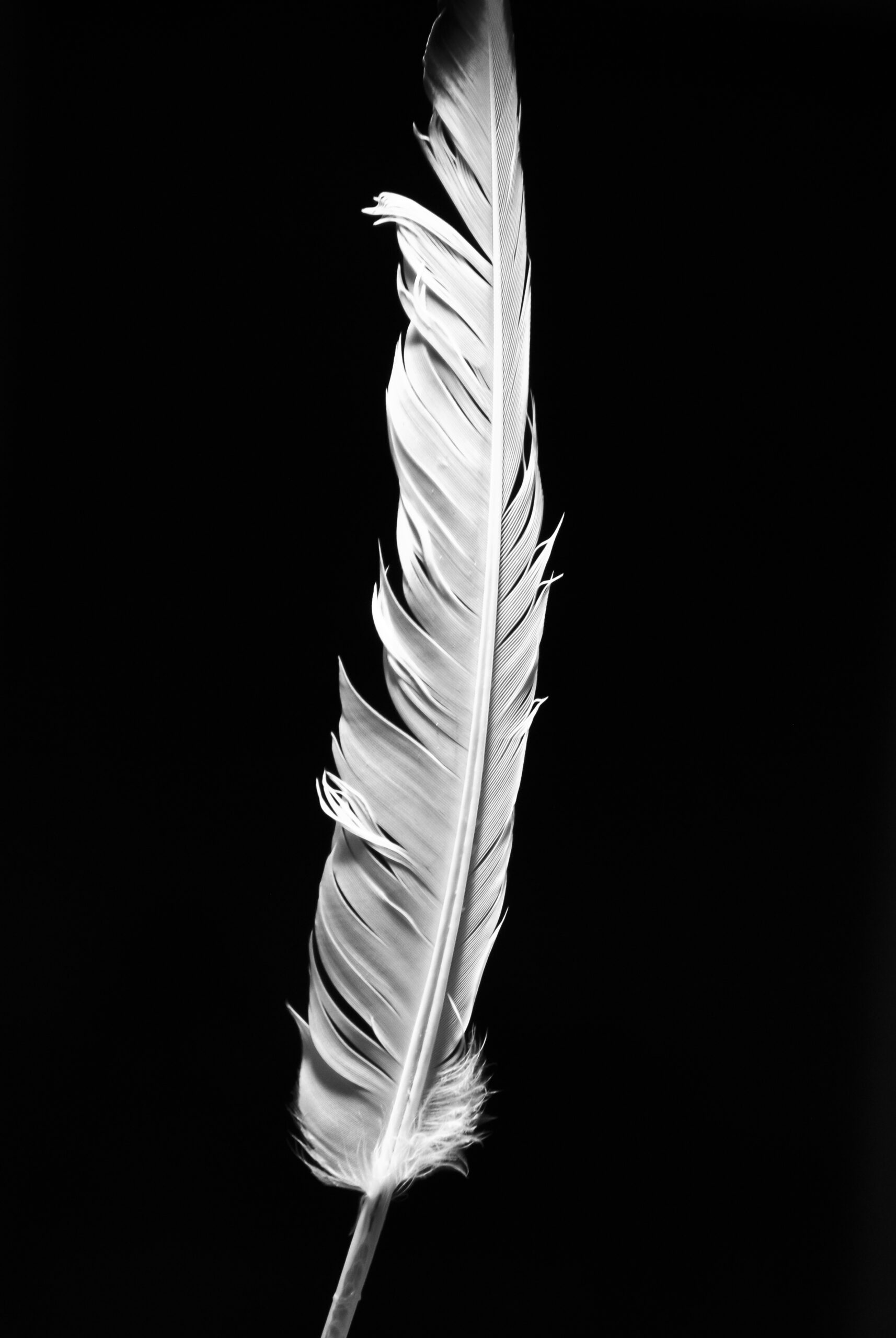 Image by box nb from Pixabay